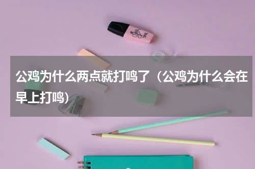 公鸡为什么两点就打鸣了（公鸡为什么会在早上打鸣）