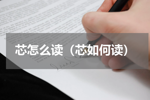 芯怎么读（芯如何读）