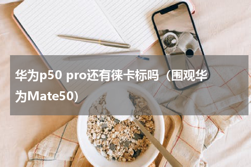 华为p50 pro还有徕卡标吗（围观华为Mate50）