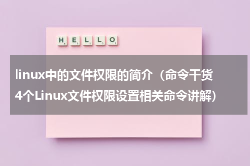 linux中的文件权限的简介（命令干货4个Linux文件权限设置相关命令讲解）