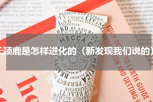 长颈鹿是怎样进化的（新发现我们说的）