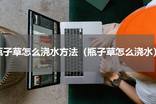 瓶子草怎么浇水方法（瓶子草怎么浇水）