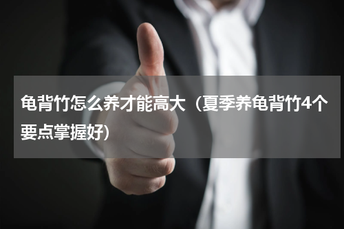 龟背竹怎么养才能高大（夏季养龟背竹4个要点掌握好）