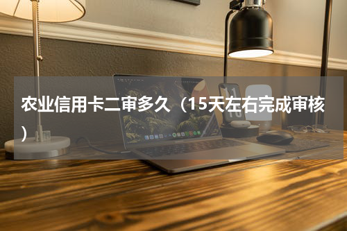 农业信用卡二审多久（15天左右完成审核）