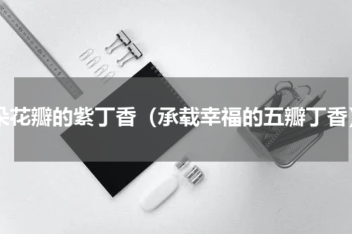 5朵花瓣的紫丁香（承载幸福的五瓣丁香）