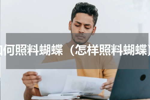 如何照料蝴蝶（怎样照料蝴蝶）