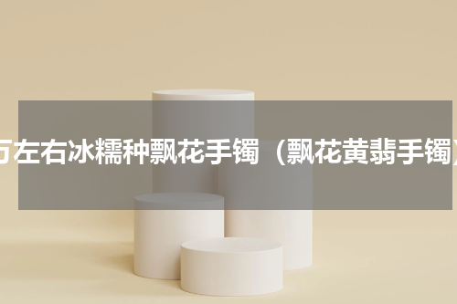 1万左右冰糯种飘花手镯（飘花黄翡手镯）