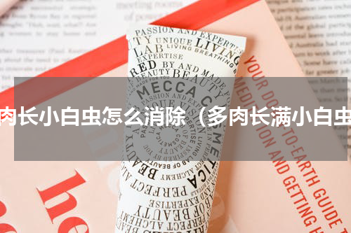 多肉长小白虫怎么消除（多肉长满小白虫）