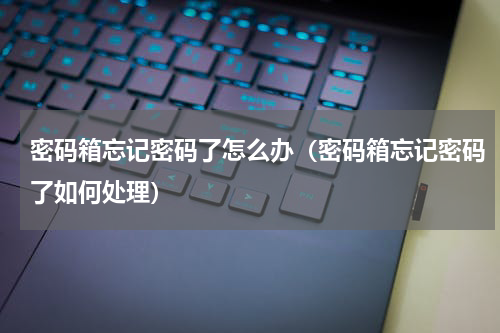 密码箱忘记密码了怎么办（密码箱忘记密码了如何处理）