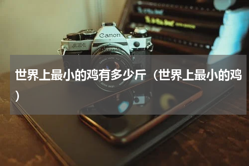 世界上最小的鸡有多少斤（世界上最小的鸡）