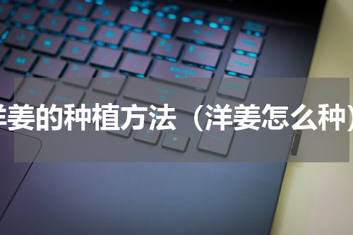 洋姜的种植方法（洋姜怎么种）