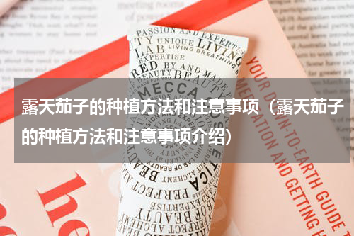 露天茄子的种植方法和注意事项（露天茄子的种植方法和注意事项介绍）
