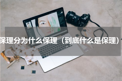 保理分为什么保理（到底什么是保理）