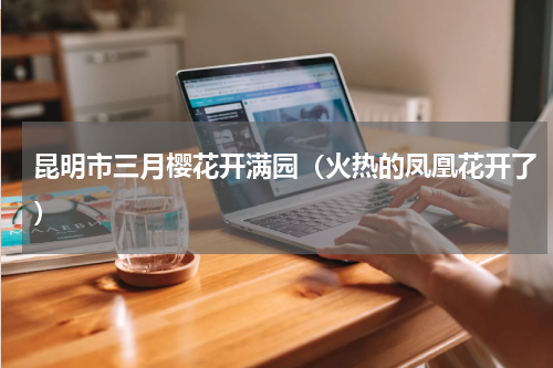 昆明市三月樱花开满园（火热的凤凰花开了）