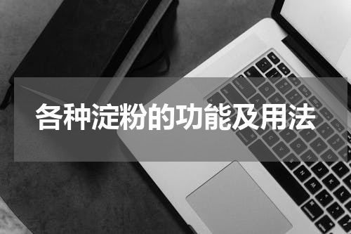 各种淀粉的功能及用法