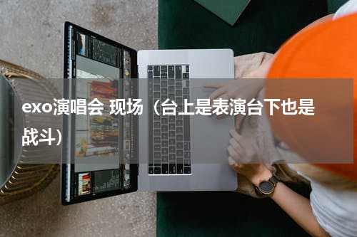 exo演唱会 现场（台上是表演台下也是战斗）