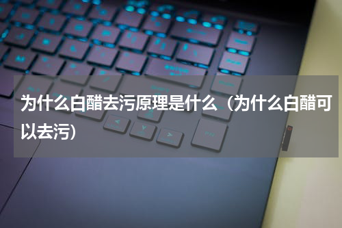 为什么白醋去污原理是什么（为什么白醋可以去污）