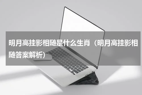 明月高挂影相随是什么生肖（明月高挂影相随答案解析）