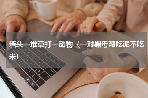 墙头一堆草打一动物（一对黑母鸡吃泥不吃米）