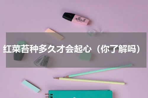 红菜苔种多久才会起心（你了解吗）