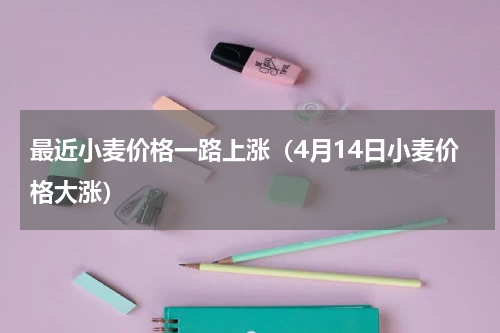 最近小麦价格一路上涨（4月14日小麦价格大涨）