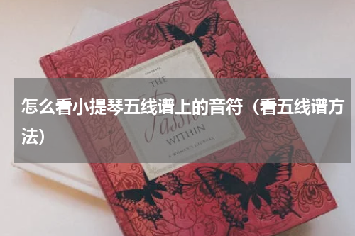 怎么看小提琴五线谱上的音符（看五线谱方法）