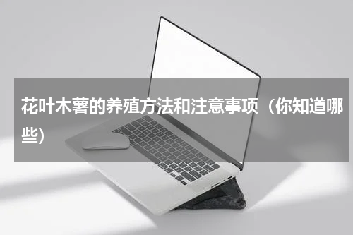 花叶木薯的养殖方法和注意事项（你知道哪些）