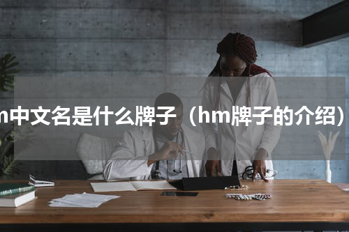hm中文名是什么牌子（hm牌子的介绍）