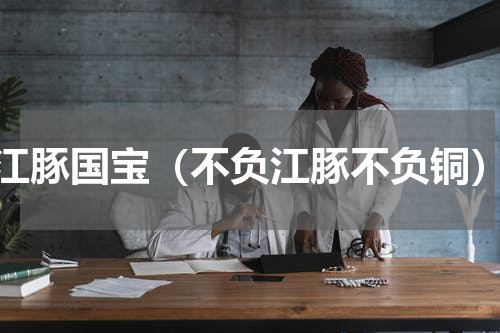 江豚国宝（不负江豚不负铜）