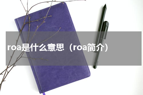 roa是什么意思（roa简介）