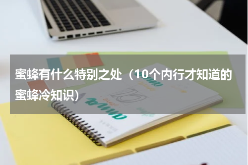蜜蜂有什么特别之处（10个内行才知道的蜜蜂冷知识）