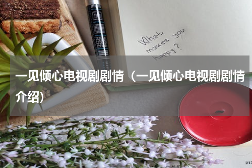 一见倾心电视剧剧情（一见倾心电视剧剧情介绍）