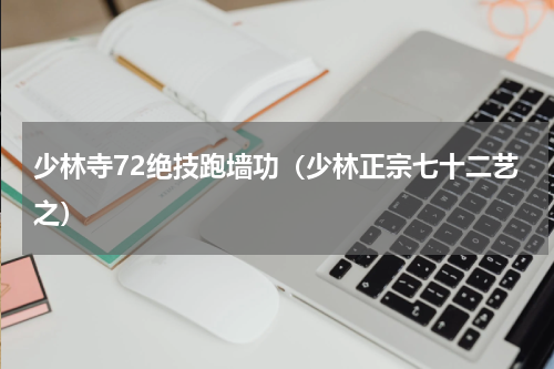 少林寺72绝技跑墙功（少林正宗七十二艺之）