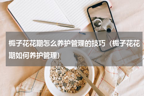 栀子花花期怎么养护管理的技巧（栀子花花期如何养护管理）
