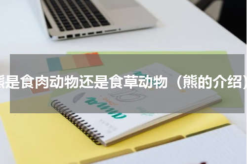 熊是食肉动物还是食草动物（熊的介绍）