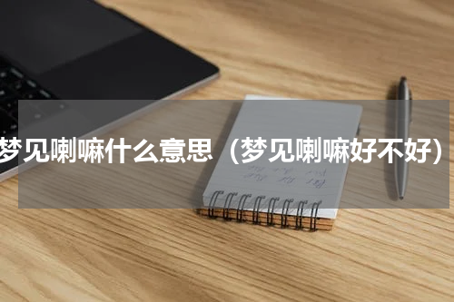 梦见喇嘛什么意思（梦见喇嘛好不好）