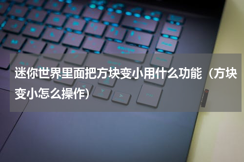 迷你世界里面把方块变小用什么功能（方块变小怎么操作）