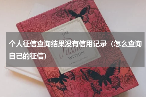 个人征信查询结果没有信用记录（怎么查询自己的征信）