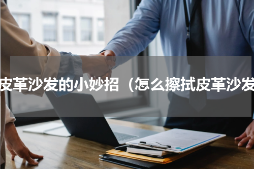 擦皮革沙发的小妙招（怎么擦拭皮革沙发）