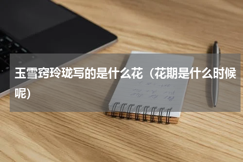 玉雪窍玲珑写的是什么花（花期是什么时候呢）