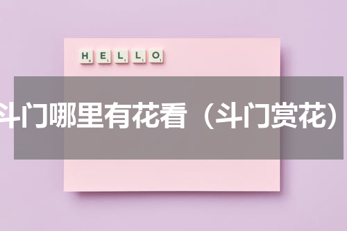 斗门哪里有花看（斗门赏花）
