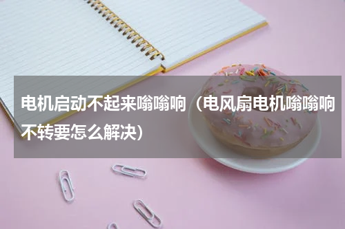 电机启动不起来嗡嗡响（电风扇电机嗡嗡响不转要怎么解决）