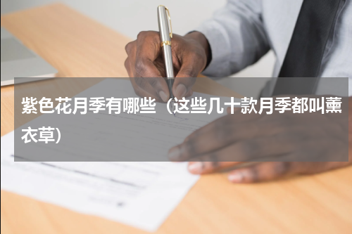 紫色花月季有哪些（这些几十款月季都叫薰衣草）