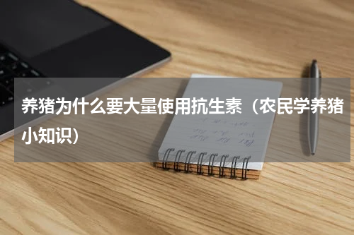 养猪为什么要大量使用抗生素（农民学养猪小知识）