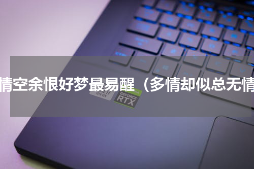 多情空余恨好梦最易醒（多情却似总无情）