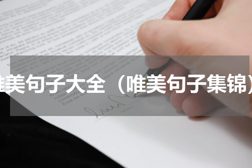 唯美句子大全（唯美句子集锦）