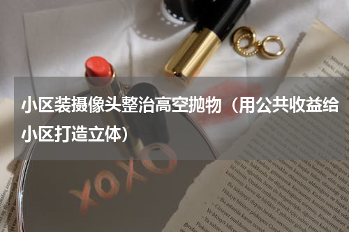 小区装摄像头整治高空抛物（用公共收益给小区打造立体）