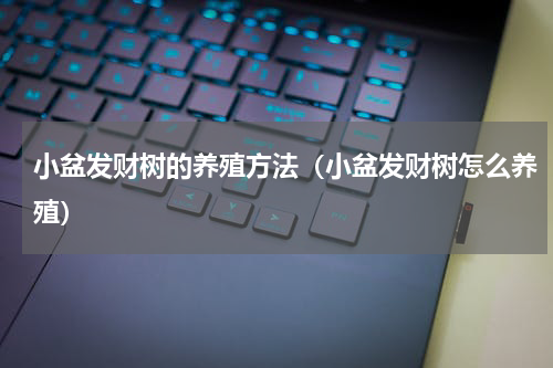 小盆发财树的养殖方法（小盆发财树怎么养殖）