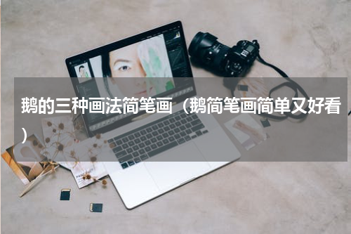 鹅的三种画法简笔画（鹅简笔画简单又好看）