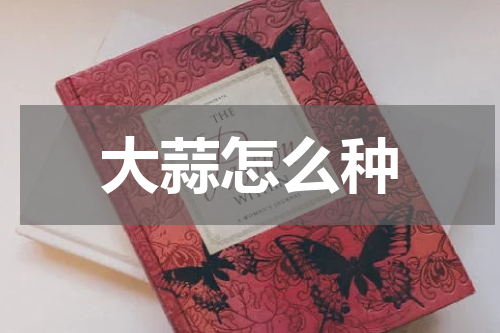 大蒜怎么种